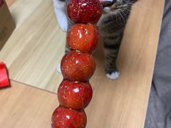 -京天红酒家(虎坊路店)