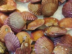 -圣罗巴海鲜烤肉自助(佳兆业店)