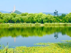 -北坞公园