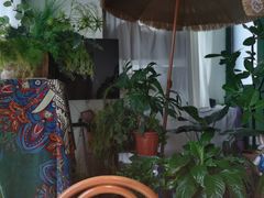 -Thai Basil罗勒叶泰式餐厅(时代天街店)