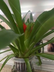 -S&G Beauty轻奢皮肤管理中心