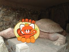 -上海佘山国家森林公园天马山园