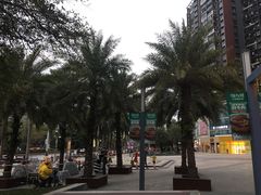 -深圳龙华星河COCO City(民治店)