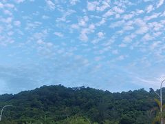 -钱大妈海鲜饭店(保利林语店)