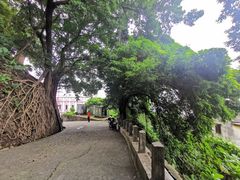 -中山公园(石岐街道)