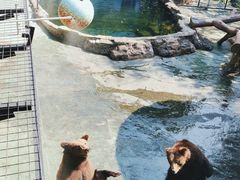 -深圳野生动物园