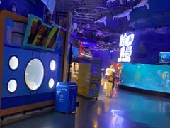 -烟台海昌鲸鲨海洋公园
