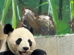 -南昌动物园