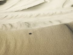 -库伦旗银沙湾旅游景区