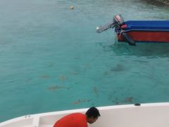 -中央格兰德岛温泉度假酒店 - 全包