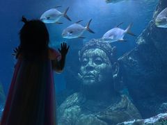 -暹罗海洋世界