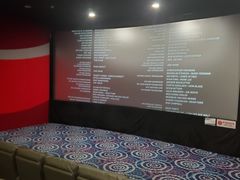 -华美影城(马栏广场店)