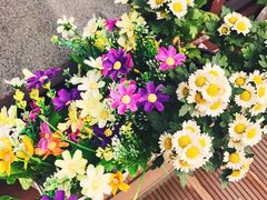 -梧桐餐厅(泉城路店)