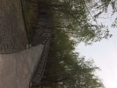 iphone_upload_pic-溱湖国家湿地公园