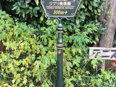 -三鹰之森吉卜力美术馆