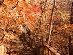 -天女山森林公园