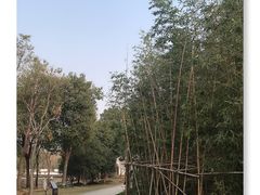 -南翔镇银翔湖公园