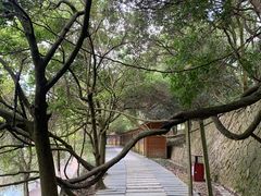 -九鲤湖风景区