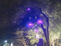 -星巴克(西湖天地店)