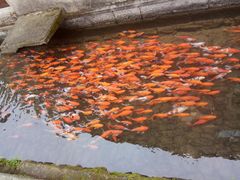 -前童古镇