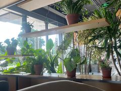 -云里小坐·海泉湾·团建·宴席·下午茶(金堂海泉湾店)