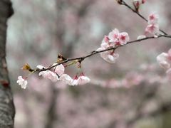 -白塘生态植物园