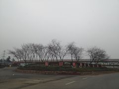 -汤山温泉房车营地 茶温泉