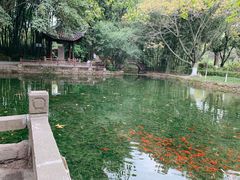 -望江楼公园