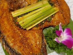 -紫滇源云南生态菜(丹凤街店)