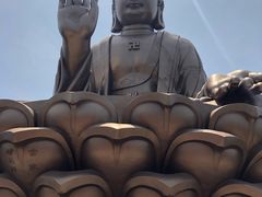 -龙口南山旅游景区