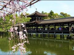 -难波八坂神社