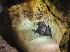 -湖南省地质博物馆