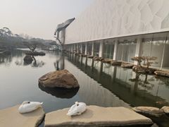 -罗红摄影艺术馆