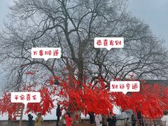 -五祖寺