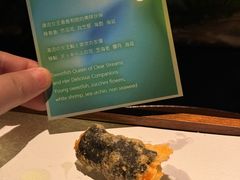 -地球美食剧场