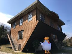 -金山农民画村-枫泾波兰倒置屋