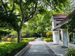 -徐家汇源景区-衡山公园