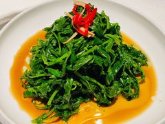 南京菊花脑-民国红公馆·秦淮八艳(夫子庙店)