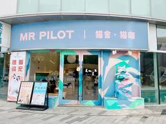 -飞行喵MR PILOT|猫舍·猫咖(静安大融城店)