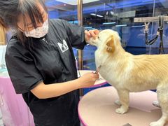 -FAELING PETS美天灵宠物(富力广场店)