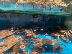 -SEA西雅图海鲜自助餐厅(海乐世界店)