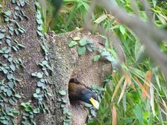 -华南国家植物园-售票处