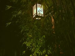 -崇阳三特浪口温泉