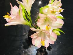 -行者书屋大堂吧 ·下午茶(南京圣和府邸酒店)