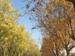 -中关村生命科学园