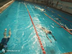 -奇缘游泳培训基地(辰茂店)