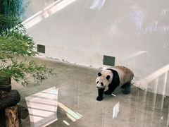 -杭州动物园