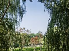 -洋湖国家湿地公园