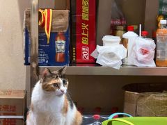 -大风老火锅(江北一店)