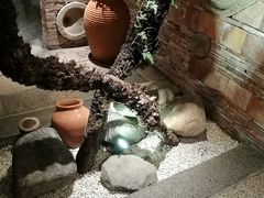 -临家闽南菜(翔安店)